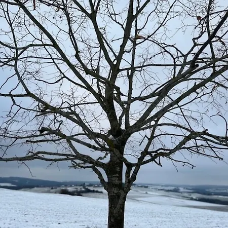 Eifel-bau-traum Schlich 別荘 *